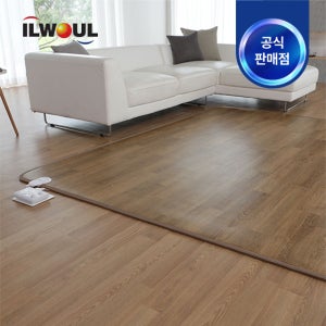 일월 카본마루 카페트 분리난방 무자계 카본 열선 전기매트 IW-CF20D-240 대형 택1