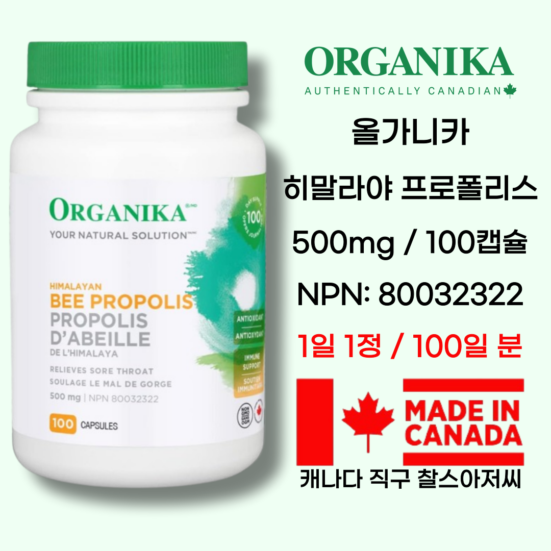 <b>Organika</b> <b>오가니카</b> 캐나다 히말라야 비프로폴리스 500mg 100정 <b>면역력</b> 항산화제