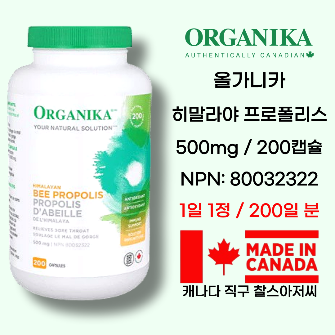<b>Organika</b> <b>오가니카</b> 캐나다 히말라야 비프로폴리스 500mg 200정 <b>면역력</b> 항산화제