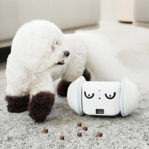 강아지집에혼자 강아지혼자있을때 펫로봇 움직이는 장난감