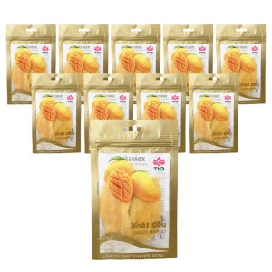 베트남 THD 건망고 100g x 10개 말린 반건조 망고 슬라이스