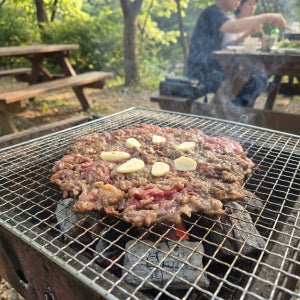 국내산 투뿔 한우 수제 마늘 양념 언양 소불고기 냉장