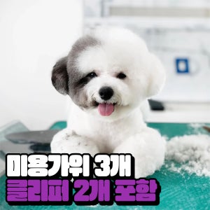 [이걸로충분]애견 미용 학원 준비물 도구박스 도구함 세트