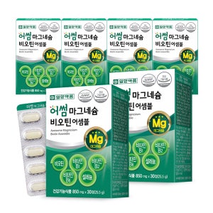 일양약품 고함량 산화 마그네슘 비오틴 비타민B 영양제 30정, 6개