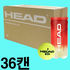 36캔 헤드 테니스공 챔피온쉽 시합구 캔볼 72개입