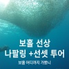 보홀선셋투어