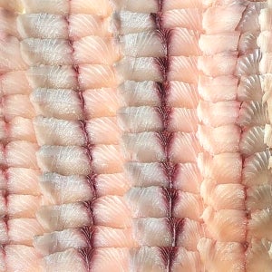 삼치 고흥 나로도 생선회 겨울제철 자연산 삼치회 3kg, 1개