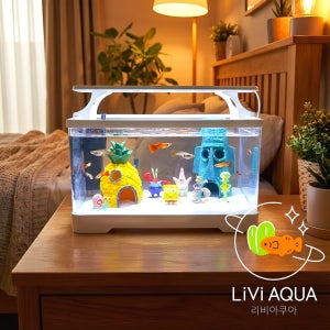 리비아쿠아 스폰지밥 안깨지는 미니 어항 풀 세트 구피 키우기 수족관