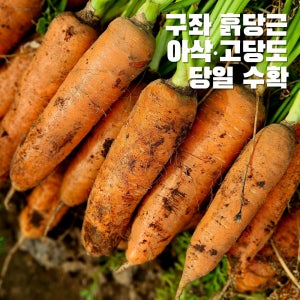평대돌담농장 구좌당근 제주 흙당근 산지직송 햇당근 주스용 5kg 10kg