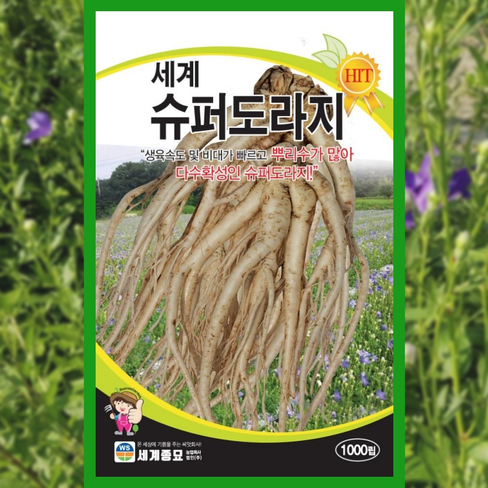 도라지씨앗 1000립 <b>슈퍼</b> 도라지 씨앗 종자 채소
