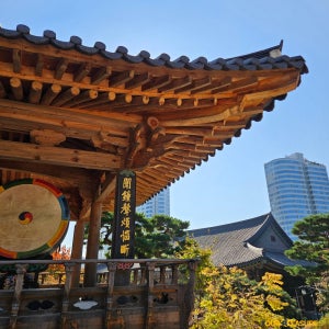 COEX, Bongeunsa & Seoul Forest Guided Tour - foreigner only 코엑스, 봉은사 & 서울숲 투어 - 외국인 전용상품