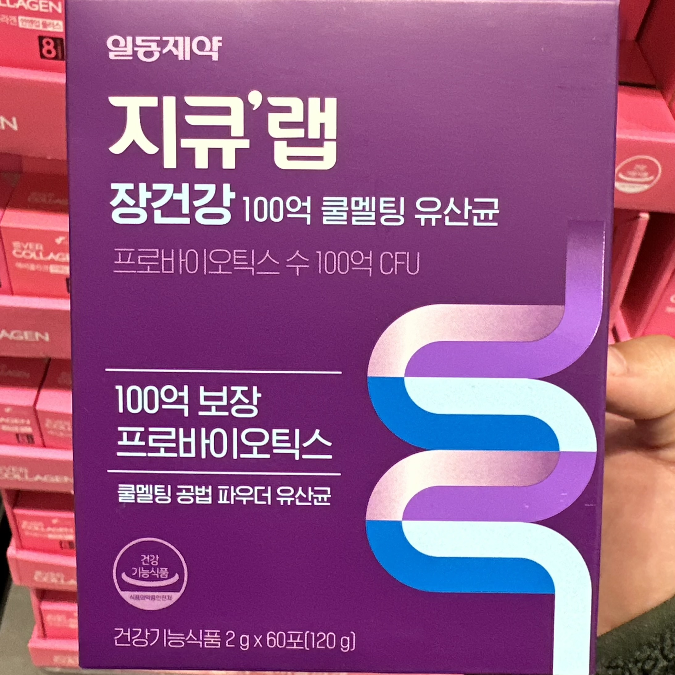 코스트코 지큐랩 쿨멜팅 유산균 2G x 60포 우유맛 장건강 도움 100억 파우더 유산균