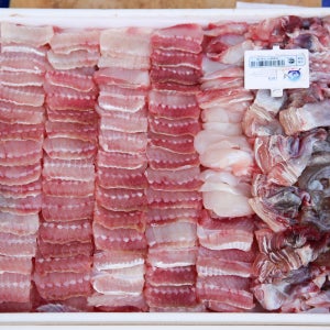 흑산도에서 발송하는 흑산도 홍어 한마리 애 삼합