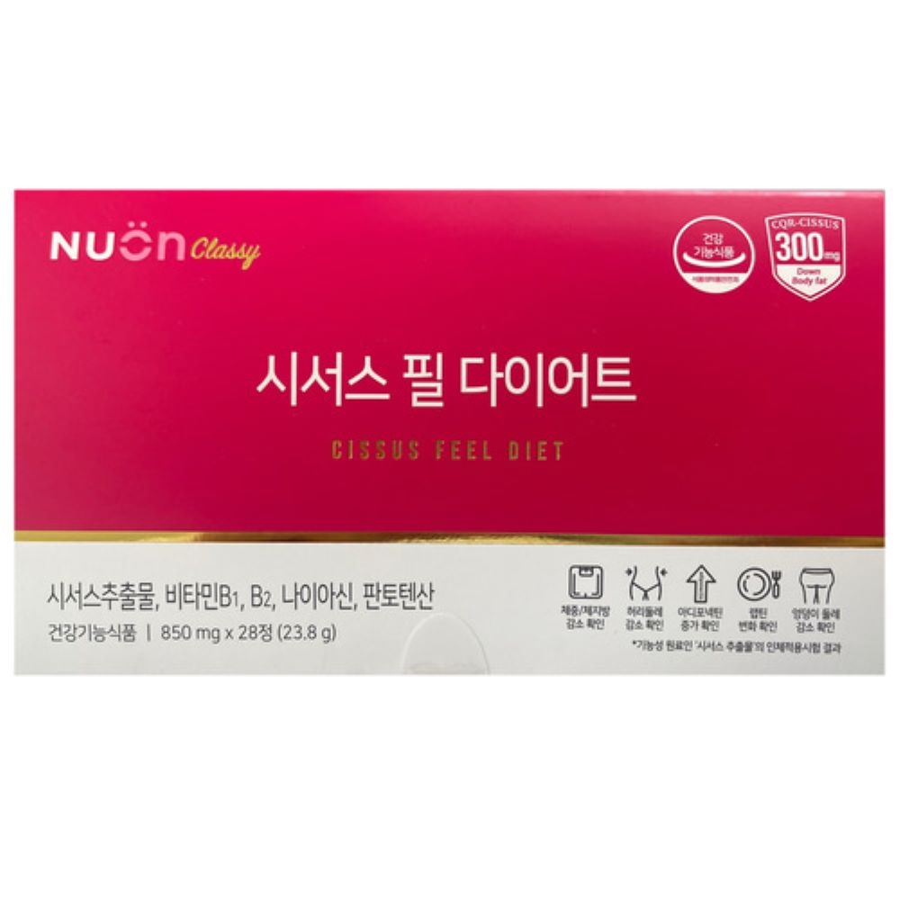 <b>뉴온</b> 시서스 필 다이어트 850mg x 28정
