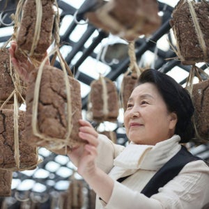 국산콩 100% 순창 재래식 전통 메주 1덩이 1kg 가루 500g