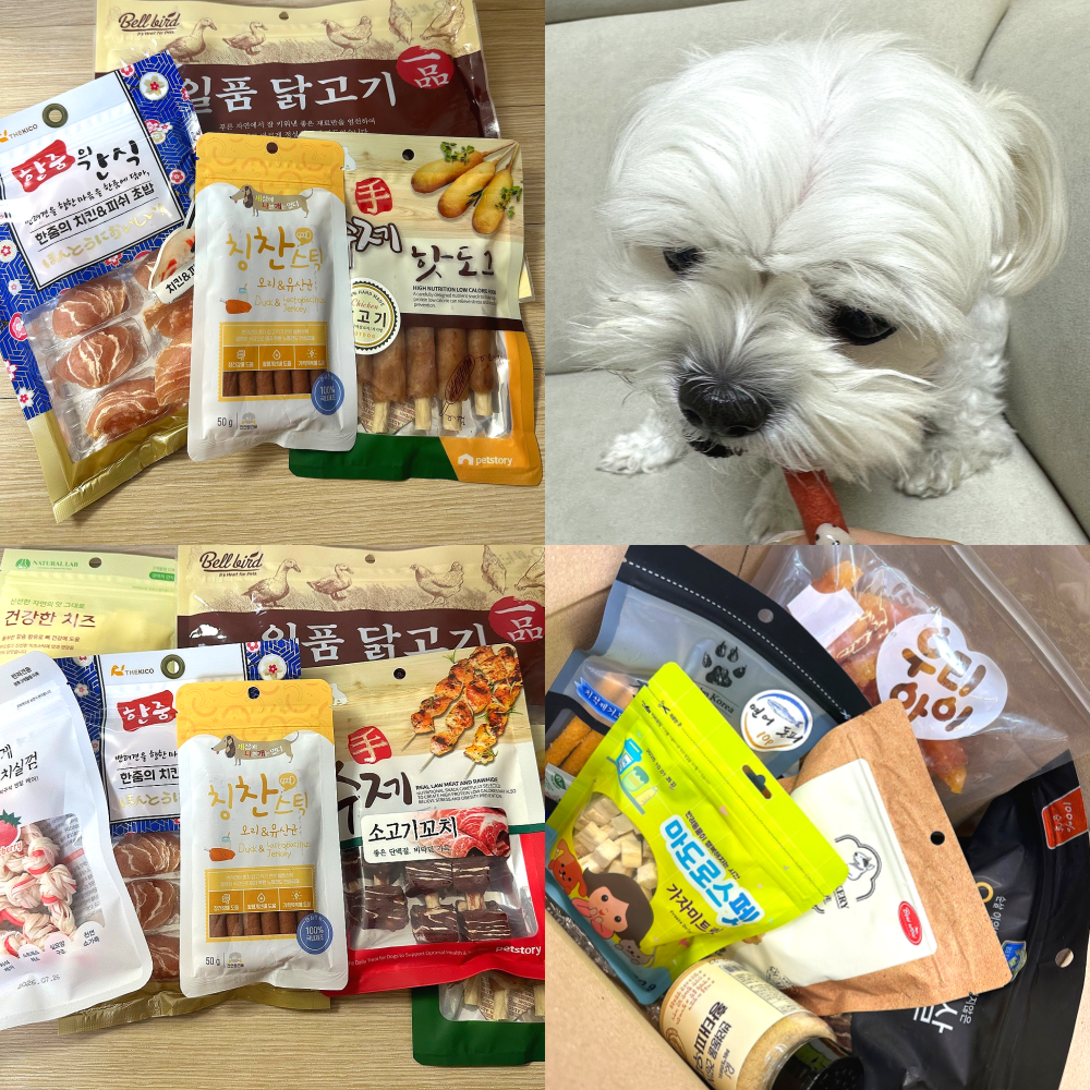 반려견 간식랜덤박스