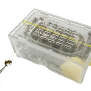 벌침 벌 꿀벌 봉독 봉침 침 100마리