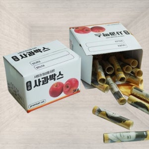 첫 월급 선물 부모님 용돈 박스 돈다발 돈박스