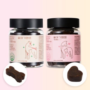 디어랩스 강아지 프리미엄 영양제 쌩쌩세트 240g, 1개