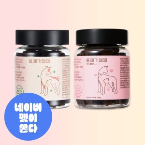 디어랩스 울애기쌩쌩 강아지 프리미엄 영양제 쌩쌩세트 240g, 1개