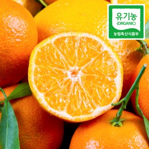 제주 친환경 무농약 유기농 귤 5kg 10kg 노지 감귤 조생귤 제주도 서귀포