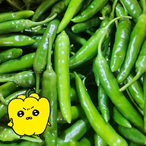 프레치 국내산 청양고추 매운고추 땡초 5kg, 1개