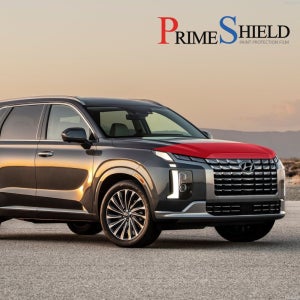 더 뉴 펠리세이드 본네트 PPF 필름 스톤칩 방지 유광 본넷