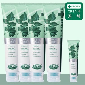 덴티스테 뉴플러스화이트 프로 치약[+20g] 200g, 4개