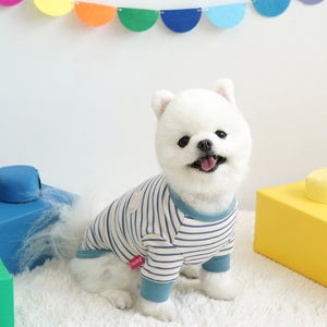 [패리스독] 강아지 스트라이프 티셔츠 간절기 겨울 실내복 화이트