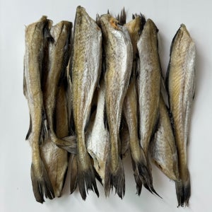 특대 호프집 반건조 두절 노가리