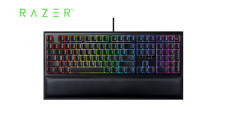 Razer 신상 게이밍 디바이스