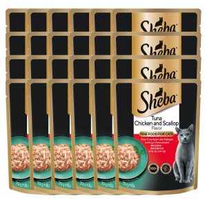 쉬바 파우치 고양이간식 습식사료 참치와 닭고기, 70g, 24개