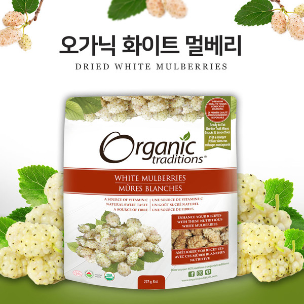 오가닉트래디션스 드라이드 화이트 멀베리 100% <b>올가닉</b> 227g (비타민C,섬유질풍부)