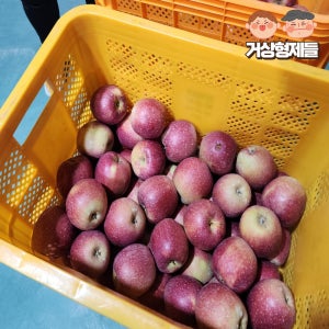 문경 아리수 부사 감홍 홍로 사과 고당도 꿀사과 프리미엄 꼬마 소중대과 시나노골드 5kg