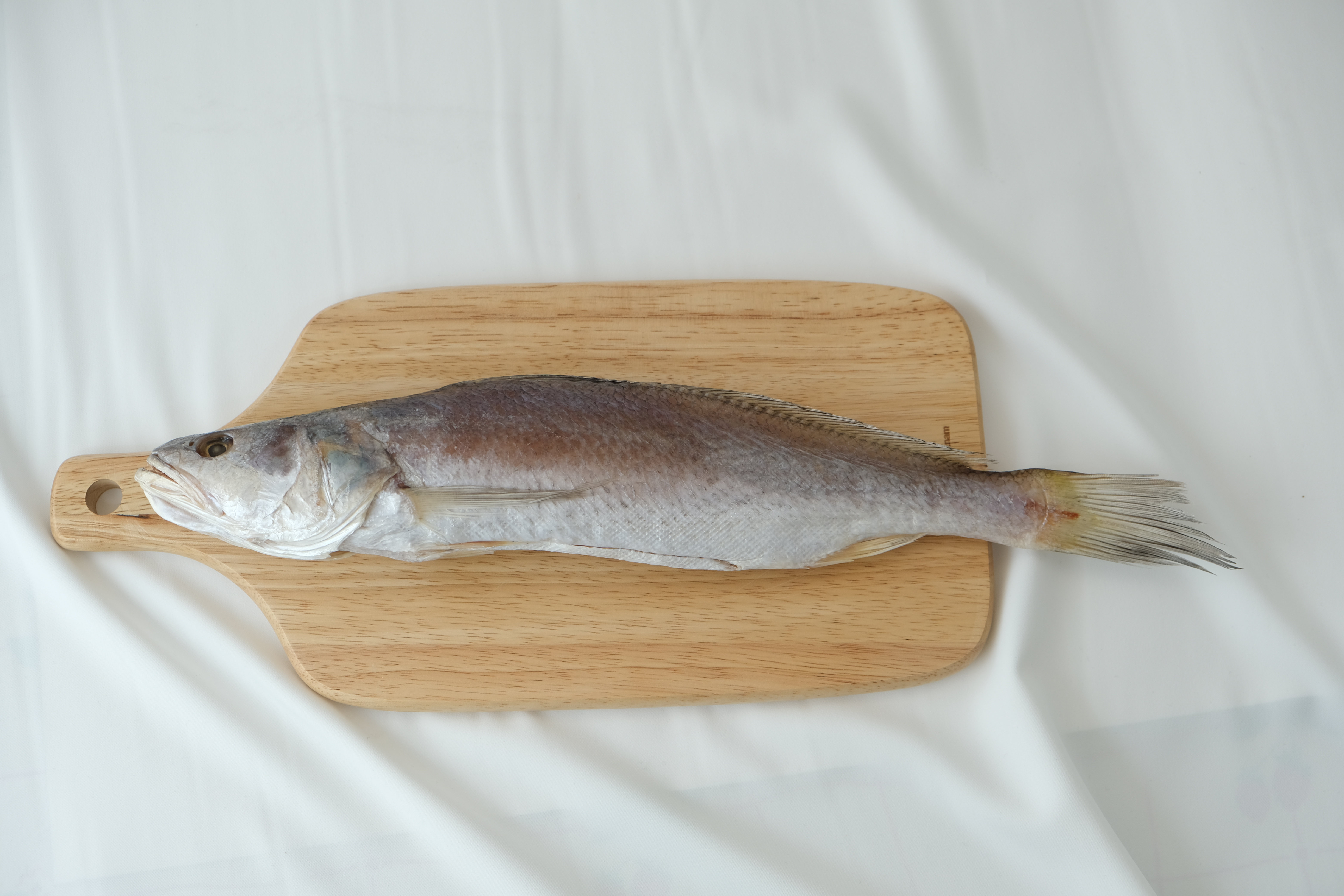 민지네생선 민어조기(大)