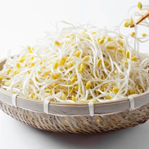 이조은산소 콩나물 1kg 2kg 산소콩나물 국산 무농약 찜용