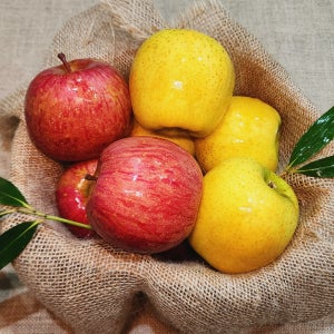 경북 청송 햇 사과 부사 시나노골드 감홍 선물세트 10kg