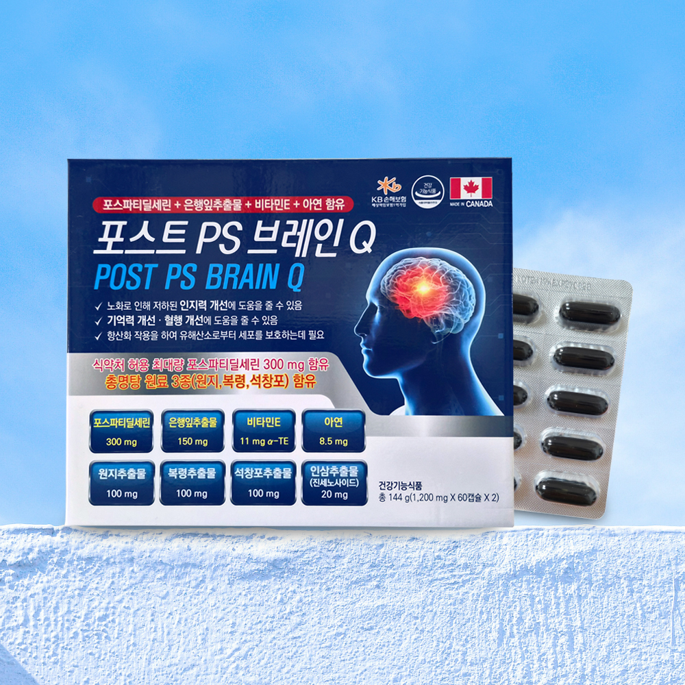 포스트 PS 브레인 Q