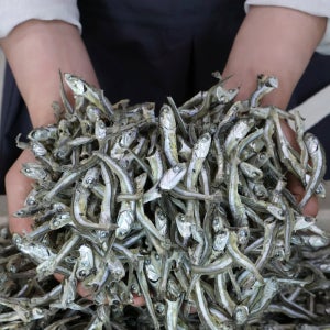 [최상급] 100%국내산 품질보장 해날 햇 중멸 고바멸치 1.5kg