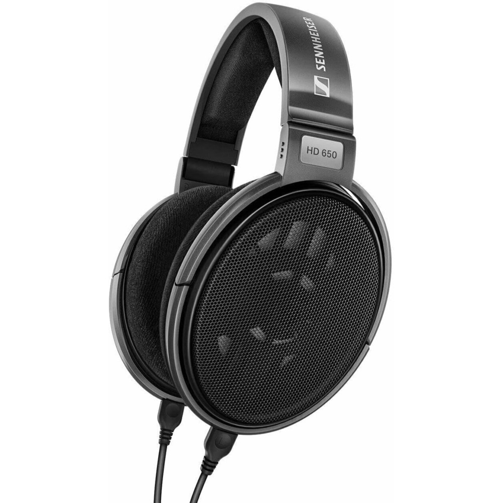 Sennheiser HD 650 (젠하이저 HD 650)