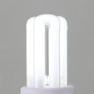 비츠온 EL 램프 11W E26 주광색 KC 전구