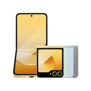 Samsung 정품 갤럭시Z플립6 [512GB]
