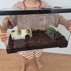 딴지트 달팽이키우기 사육장 대형