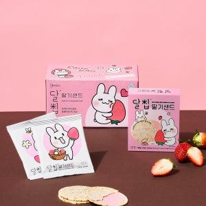 네이처오다 달칩 딸기샌드 20개입