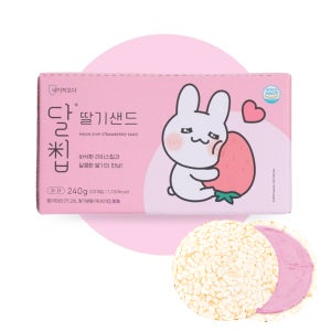 네이처오다 달칩 딸기샌드 20개입