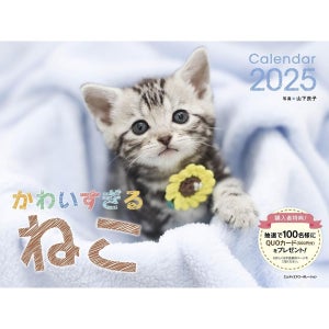 2025년 캘린더 고양이 벽걸이 달력 너무 귀여운 아기고양이 달력
