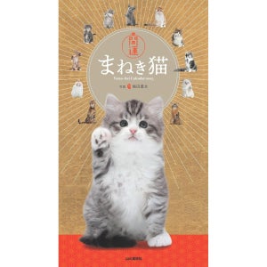 2025년 캘린더 고양이 벽걸이 달력 너무 귀여운 아기고양이 달력 마네키네코