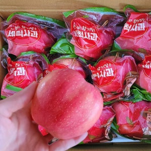 세척사과 중소과 2kg 3kg 5kg 도레미파머스 고당도 경북 안동 부사 가정용 꿀사과