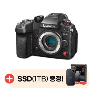 PANASONIC 파나소닉 LUMIX DC-GH6 미러리스 카메라 DC-GH6 정품판매처-SSD 1TB