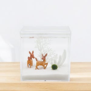 미미네아쿠아 겨울숲 사슴 마리모 키우기 세트 A